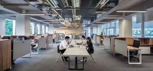 一次“礼貌的割席” 马云回复HR背后的职场隐喻